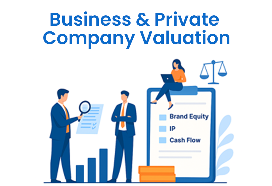 Business Private Company Valuation